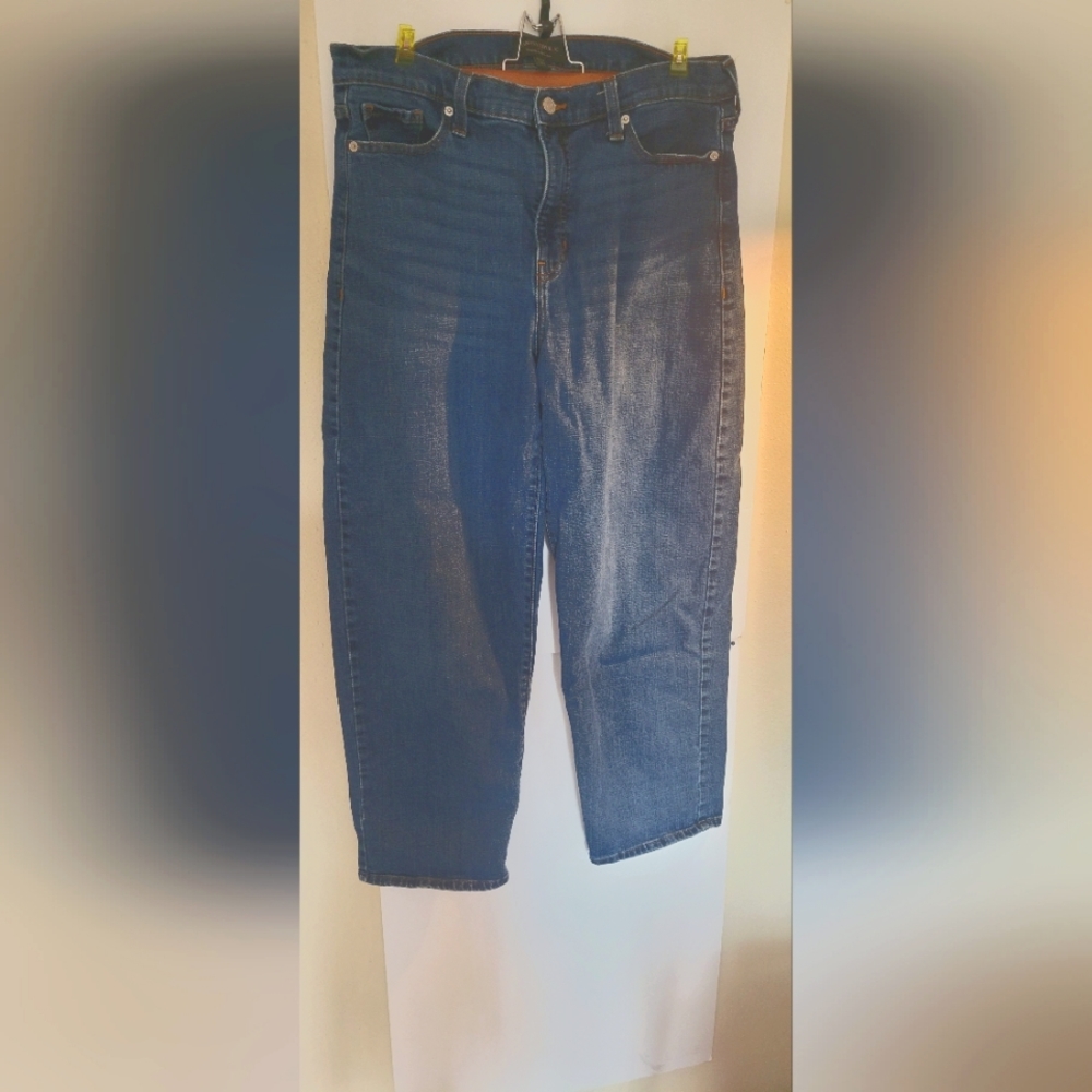 Banana Republic Barrel Jean, Dark Rinse Size 31/12